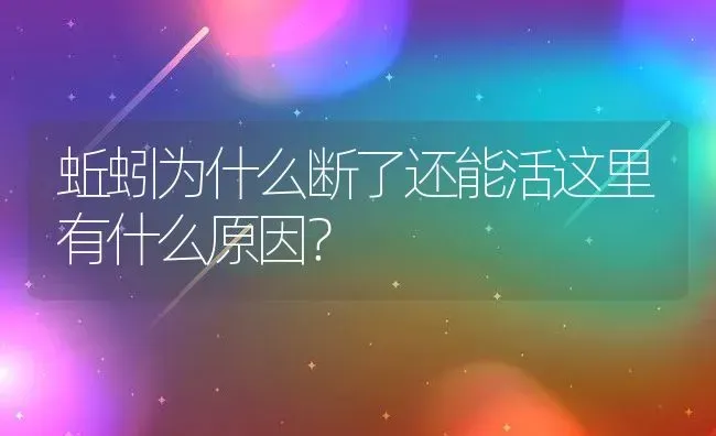 蚯蚓为什么断了还能活这里有什么原因？ | 动物养殖百科