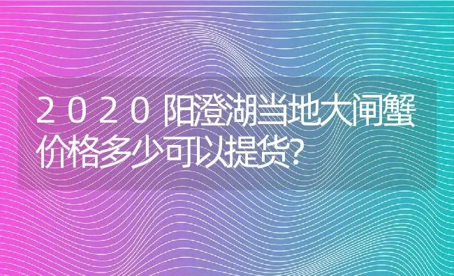 2020阳澄湖当地大闸蟹价格多少可以提货？ | 动物养殖百科