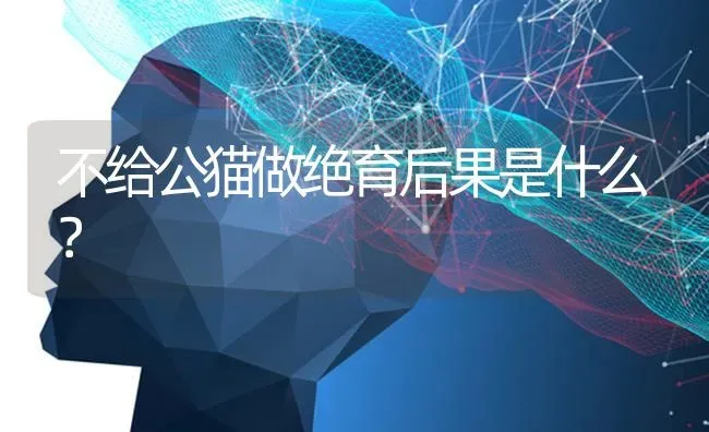 不给公猫做绝育后果是什么？ | 动物养殖问答