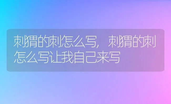 刺猬的刺怎么写,刺猬的刺怎么写让我自己来写 | 宠物百科知识