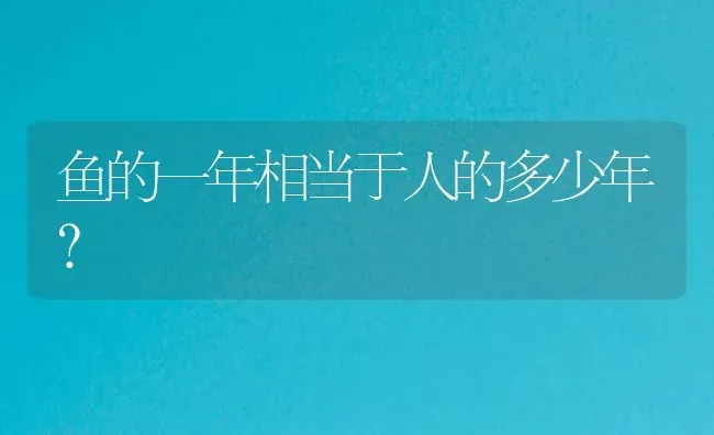 鱼的一年相当于人的多少年？ | 鱼类宠物饲养