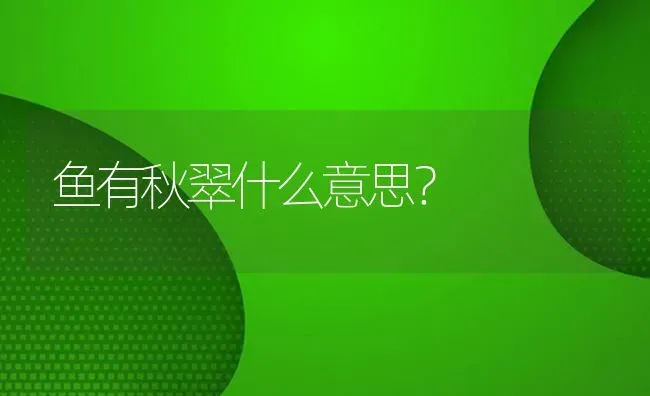 鱼有秋翠什么意思？ | 鱼类宠物饲养