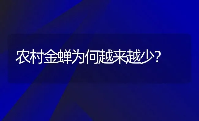 农村金蝉为何越来越少？ | 动物养殖百科