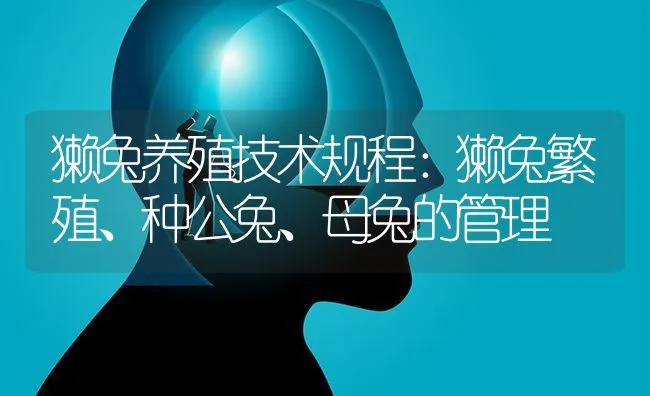 獭兔养殖技术规程：獭兔繁殖、种公兔、母兔的管理 | 动物养殖学堂