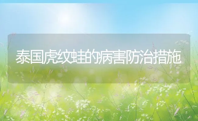 神仙鱼苗种繁育 | 海水养殖技术