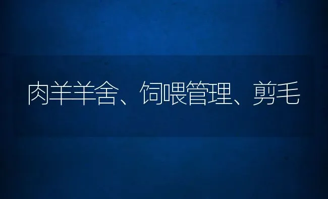 肉羊羊舍、饲喂管理、剪毛 | 动物养殖饲料