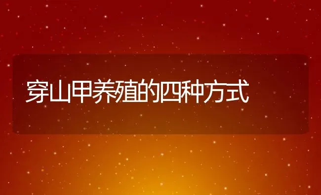 穿山甲养殖的四种方式 | 动物养殖百科