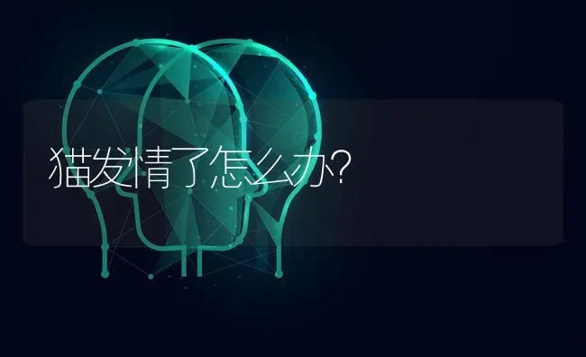 狗狗怀孕每周变化？ | 动物养殖问答