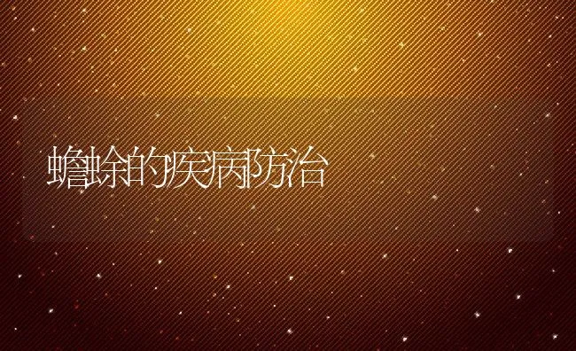 蟾蜍的疾病防治 | 水产养殖知识