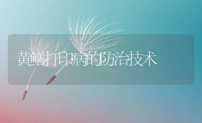 黄鳝打印病的防治技术 | 水产养殖知识