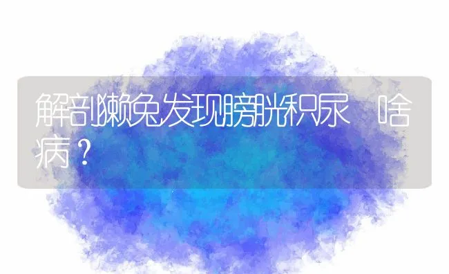 解剖獭兔发现膀胱积尿 啥病？ | 水产养殖知识