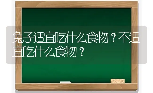 兔子适宜吃什么食物？不适宜吃什么食物？ | 动物养殖问答