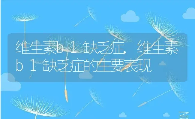 维生素b1缺乏症,维生素b1缺乏症的主要表现 | 宠物百科知识