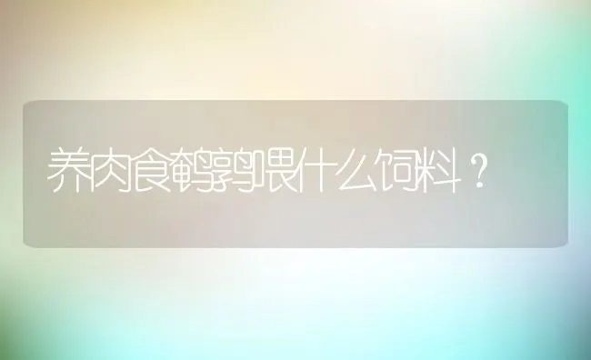 养肉食鹌鹑喂什么饲料？ | 动物养殖饲料