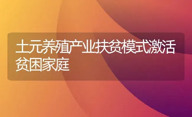 土元养殖产业扶贫模式激活贫困家庭 | 特种养殖技术