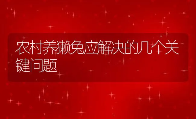 农村养獭兔应解决的几个关键问题 | 动物养殖饲料