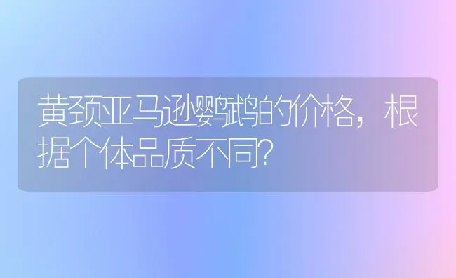 黄颈亚马逊鹦鹉的价格，根据个体品质不同？ | 动物养殖问答