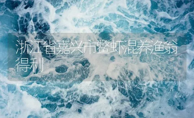 浙江省嘉兴市鳖虾混养渔翁得利 | 海水养殖技术