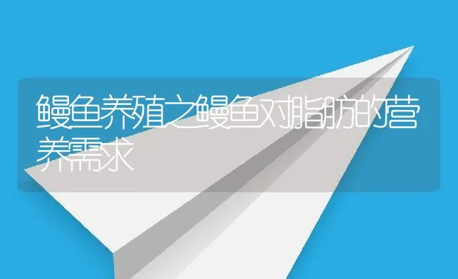 鳗鱼养殖之鳗鱼对脂肪的营养需求 | 动物养殖饲料