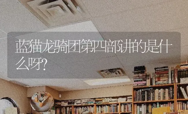 蓝猫龙骑团第四部讲的是什么呀？ | 动物养殖问答