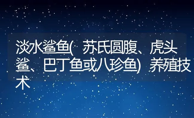 淡水鲨鱼(苏氏圆腹、虎头鲨、巴丁鱼或八珍鱼)养殖技术 | 动物养殖饲料