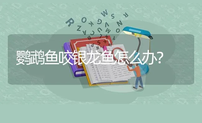 镰蝴蝶鱼怎么养适合的水温为16-20℃？ | 鱼类宠物饲养