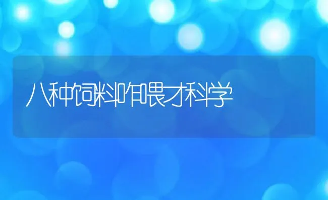 八种饲料咋喂才科学 | 动物养殖饲料