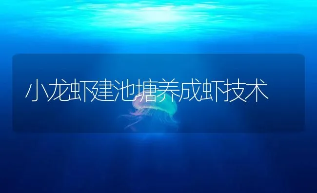 小龙虾建池塘养成虾技术 | 海水养殖技术