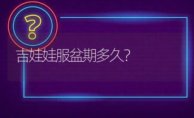 吉娃娃服盆期多久？ | 动物养殖问答