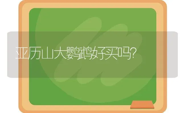 亚历山大鹦鹉好买吗？ | 动物养殖问答