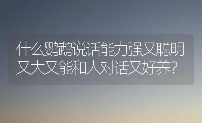 什么鹦鹉说话能力强又聪明又大又能和人对话又好养？ | 动物养殖问答