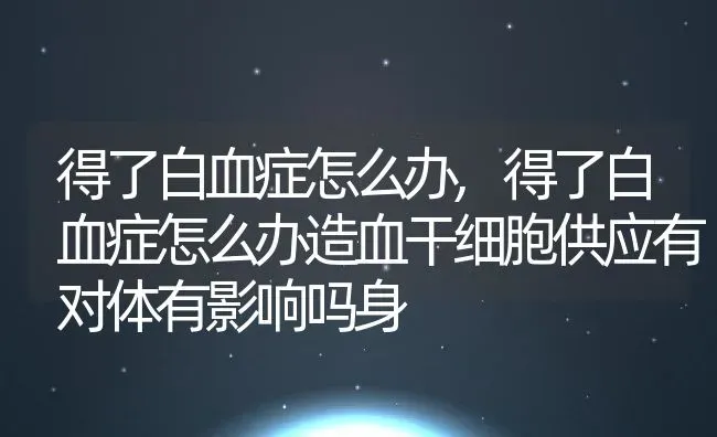 得了白血症怎么办,得了白血症怎么办造血干细胞供应有对体有影响吗身 | 宠物百科知识