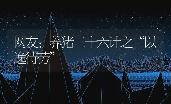 网友：养猪三十六计之“以逸待劳” | 动物养殖饲料