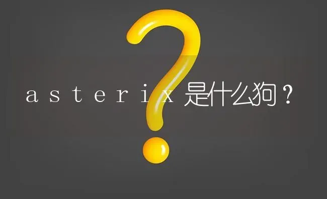 asterix是什么狗？ | 动物养殖问答