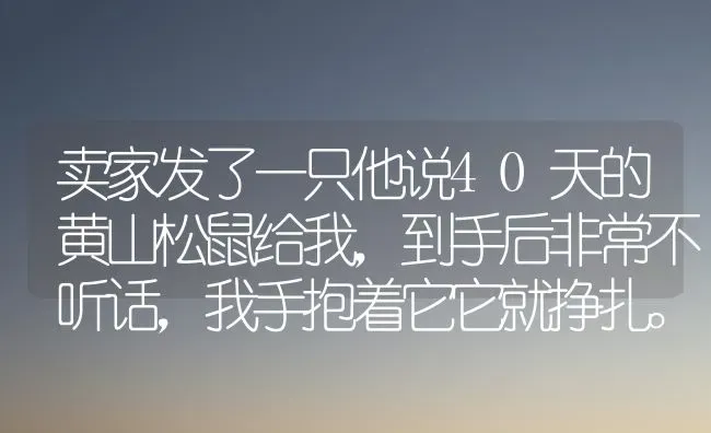 卖家发了一只他说40天的黄山松鼠给我，到手后非常不听话，我手抱着它它就挣扎。请问40天这样正常吗？ | 动物养殖问答