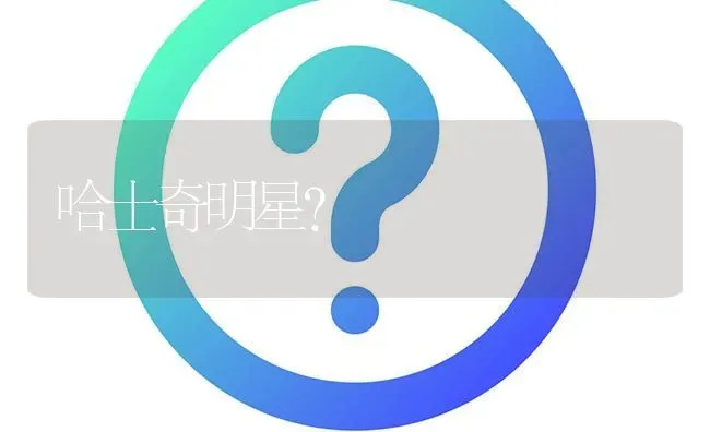 哈士奇明星？ | 动物养殖问答