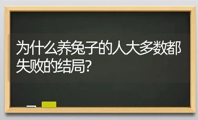 为什么养兔子的人大多数都失败的结局？ | 动物养殖问答