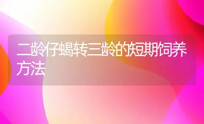 罗氏沼虾苗的选购和运输 | 海水养殖技术