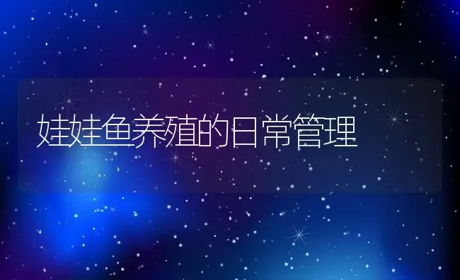 娃娃鱼养殖的日常管理 | 动物养殖百科