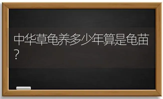 中华草龟养多少年算是龟苗？ | 动物养殖问答