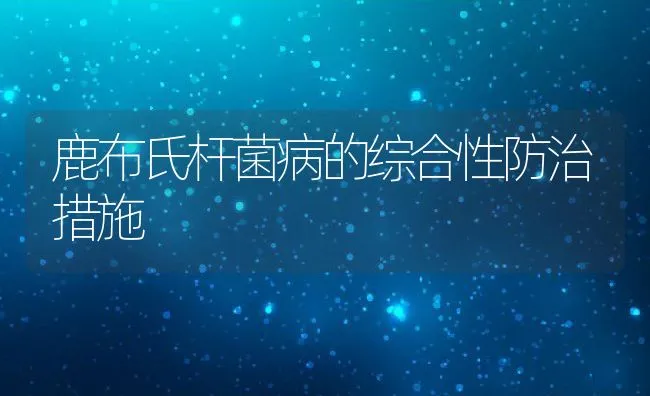 六招防甲鱼冬眠死亡 | 海水养殖技术