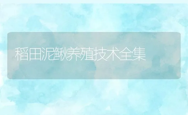 稻田泥鳅养殖技术全集 | 水产养殖知识