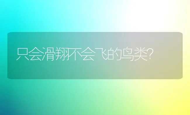 只会滑翔不会飞的鸟类？ | 动物养殖问答