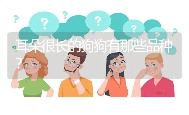 耳朵很长的狗狗有那些品种？ | 动物养殖问答