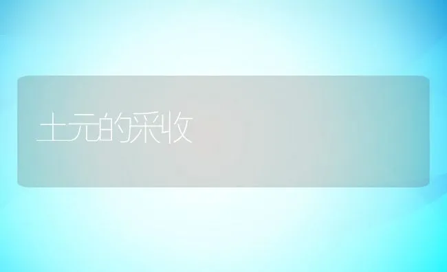 土元的采收 | 动物养殖学堂