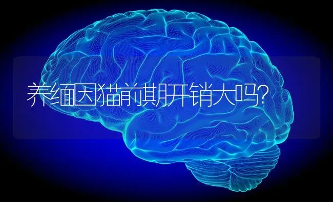 十斤以上的狗年龄大概多大？ | 动物养殖问答