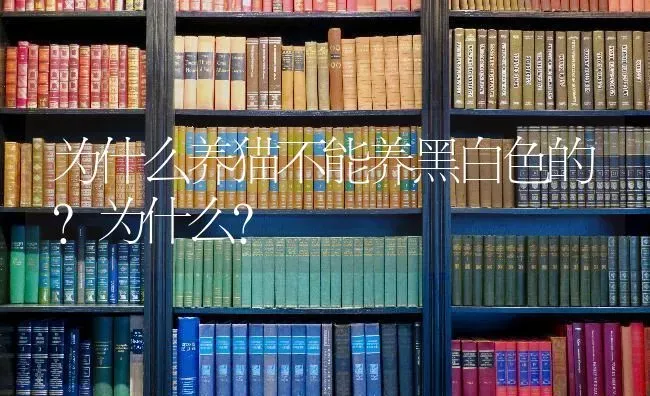 为什么养猫不能养黑白色的?为什么？ | 动物养殖问答