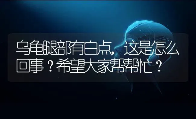 乌龟腿部有白点，这是怎么回事？希望大家帮帮忙？ | 动物养殖问答