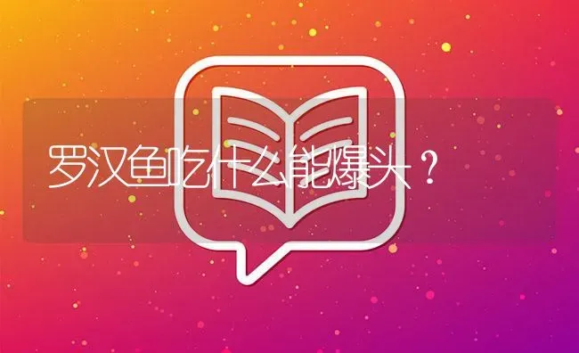 黄化银龙与什么混养？ | 鱼类宠物饲养