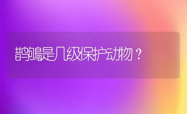 鹊鴝是几级保护动物？ | 动物养殖问答